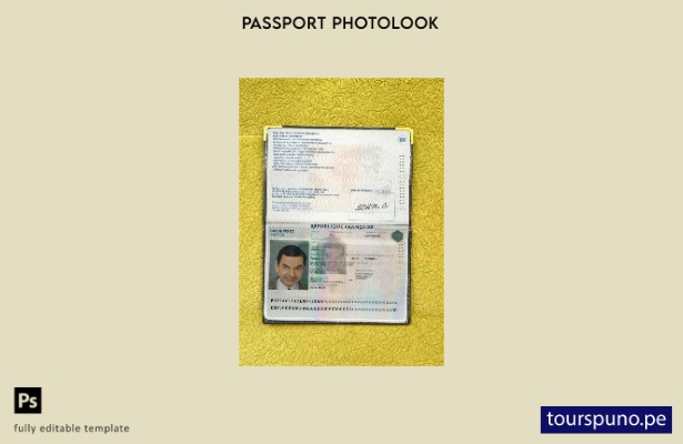 Plantilla de apariencia de foto de pasaporte de Francia lista para imprimir